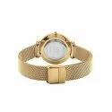 Daniel Wellington Ladies Watch Petite Evergold DW00100349