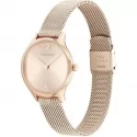 Orologio Donna Calvin Klein Timeless 25200059