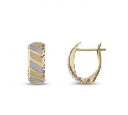 Women's Earrings in White and Yellow Gold GL101768