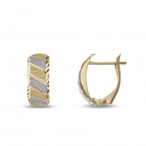 Women's Earrings in White and Yellow Gold GL101768