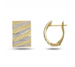 Women's Earrings in White and Yellow Gold GL101769