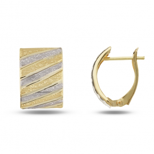 Women's Earrings in White and Yellow Gold GL101769