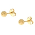 Yellow Gold Women's Earrings GL101792