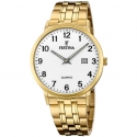 Festina Classics Men's Watch F20513/1