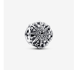 Pandora Winterstern-Charm 792360C00