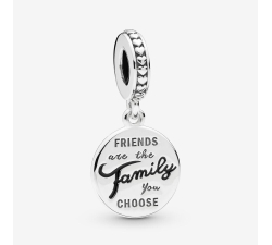 Pandora Charm „Freunde sind die Familie, die wir wählen“ 798124EN16