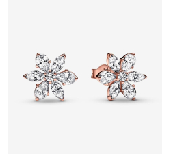 Pandora Herbarium Bright Flowers Earrings 282407C01