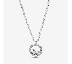 Pandora Herbarium Circle and Bright Petals Necklace 392620C01-45