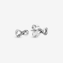 Pandora Infinity Earrings 298820C01