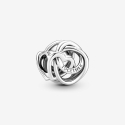 Pandora Charm Hearts Intertwined Together Forever 791507C00