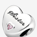 Pandora Charm Schwesterliebe 791946PCZ