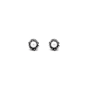 Giovanni Raspini Anemone Mini Women's Earrings 11266