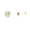 Women's Yellow Gold Earrings GL101871