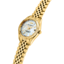 Philip Watch Caribe Urban Women's Watch R8253597650