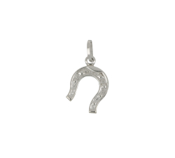 Horseshoe lucky charm 803321703381